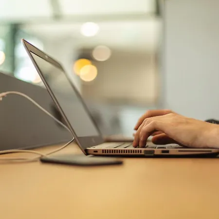 - The Niu, Dairy ハーレム