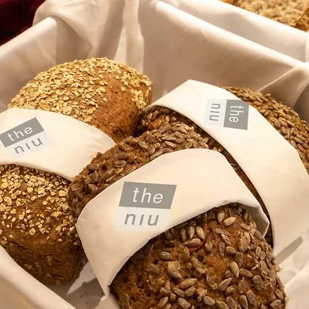 - The Niu, Dairy Hotel Haarlem