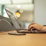 - The Niu, Dairy Haarlem