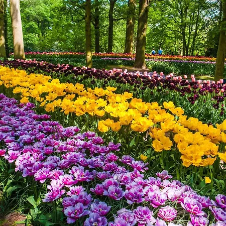 - The Niu, Dairy ホテル ハーレム