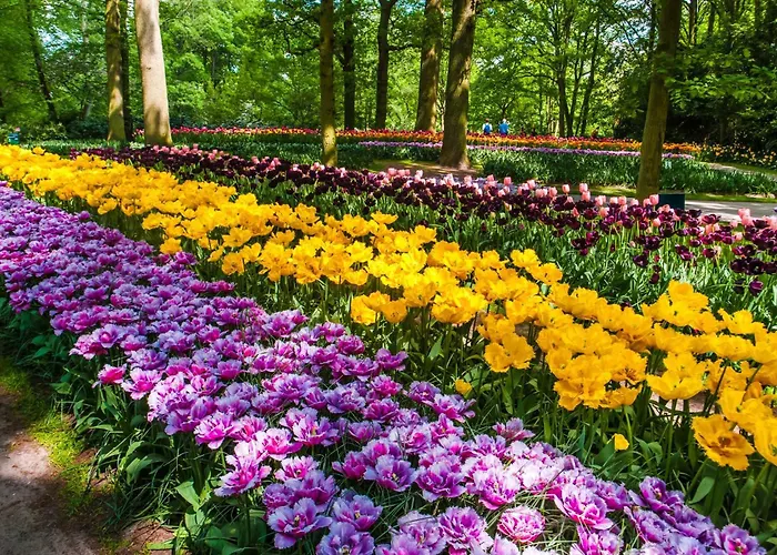 - The Niu, Dairy ホテル ハーレム